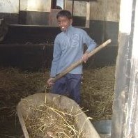 Open doe en beleef dag op de paardenboerderij